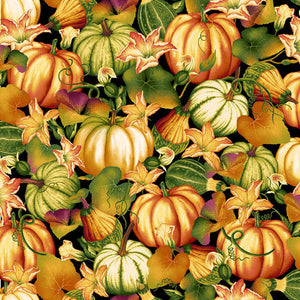 Autumn Time - Pumpkin Patch