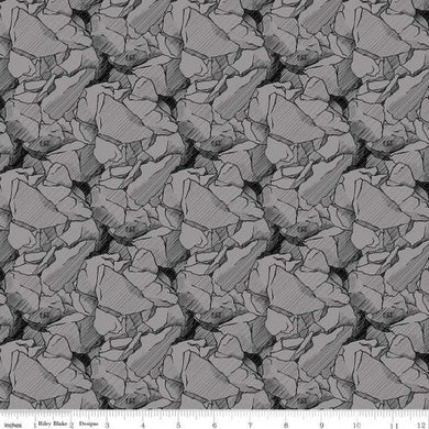 Riley Blake CAT Rocks Grey Quilt Fabric By The Yard  C9101-Gray
