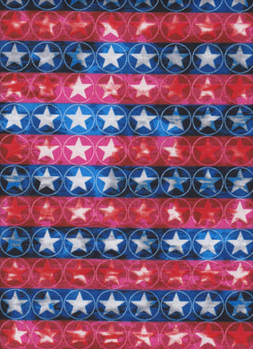 Stars & Stripes by Foust Textiles  49675RWB