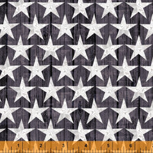 Load image into Gallery viewer, Windham Fabrics Desert Cowboys Stars  52456D-4