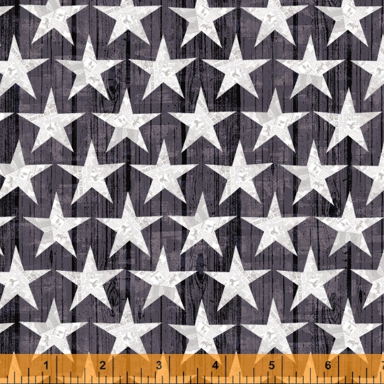 Windham Fabrics Desert Cowboys Stars  52456D-4