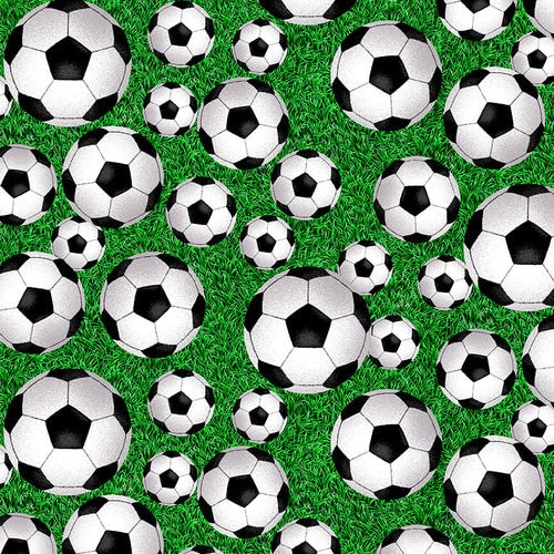 E Studio Soccer on the Green field 5285-66