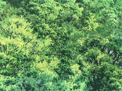 Summer Wind Farm Green Trees