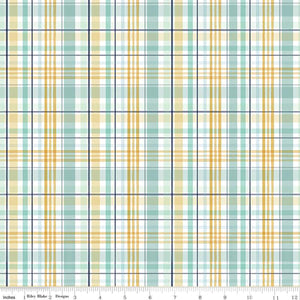 It's A Boy Plaid Multi by Riley Blake Designs   C13253-MULTI