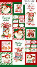 Load image into Gallery viewer, Peppermint Candy DP24620-10 Panel by Northcott Fabrics