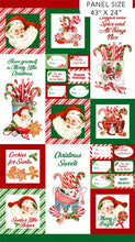 Load image into Gallery viewer, Peppermint Candy DP24620-10 Panel by Northcott Fabrics