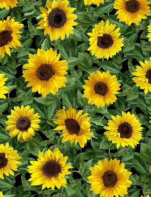 Timeless Treasures - Small Leafy Sunflowers Fleur- C1133 BLACK