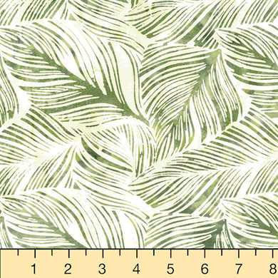 Large Leaf - Parsley 