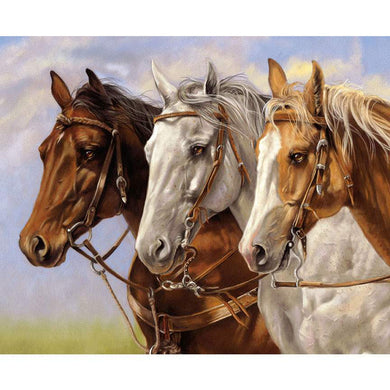 Ride the Range Three of a Kind Panel by Riley Blake PD12747