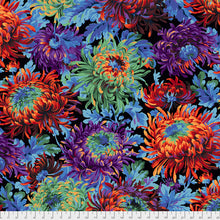 Load image into Gallery viewer, Kaffe Fassett Collective Shaggy in Black PWPJ072