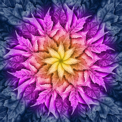 Hoffman Big Dream Leaf by Jeanie Sumrall-Ajero | Paradise  512