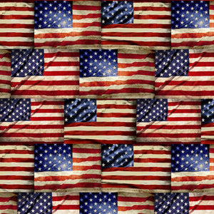 Timeless Treasures Fabric  WE THE PEOPLE ROWS OF HISTORIC AMERICAN FLAGS C8360