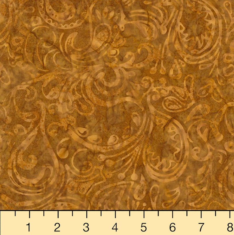 Nutmeg - Nutmeg