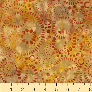 Nutmeg - Terra