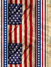 Load image into Gallery viewer, Timeless Treasures Fabric WE THE PEOPLE CONSTITUTION FLAG Repeating Stripe C8318