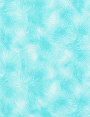 Viola - Aqua
