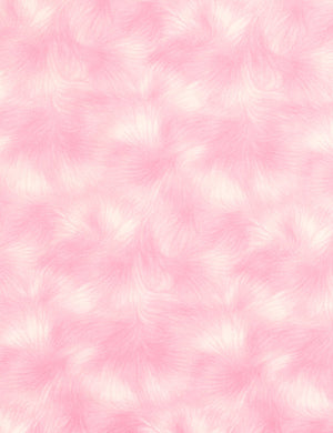 Viola -Bubblegum