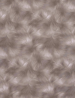 Viola - Gray