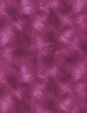 Viola - Magenta 