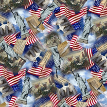 Load image into Gallery viewer, Timeless Treasures Fabric  WE THE PEOPLE DECLARATION INDEPENDENCE MONUMENT COLLAGE  C8322