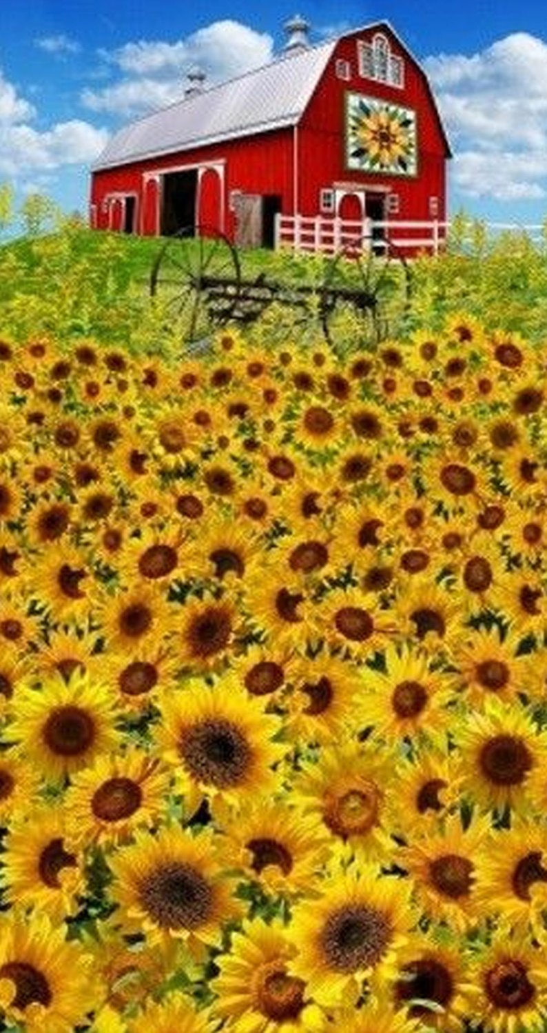 Farm Sunflower Panel | C6475