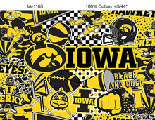 Load image into Gallery viewer, Iowa Hawkeyes NCAA Pop Art Graffiti Design IA-1165