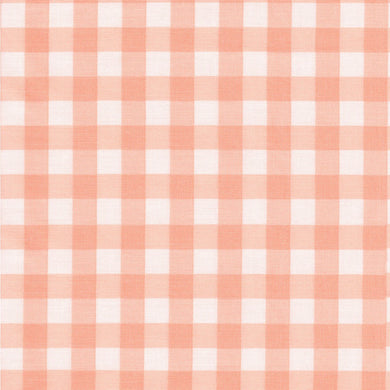 It's A Girl C13323-Gingham CORAL by Riley Blake Designs